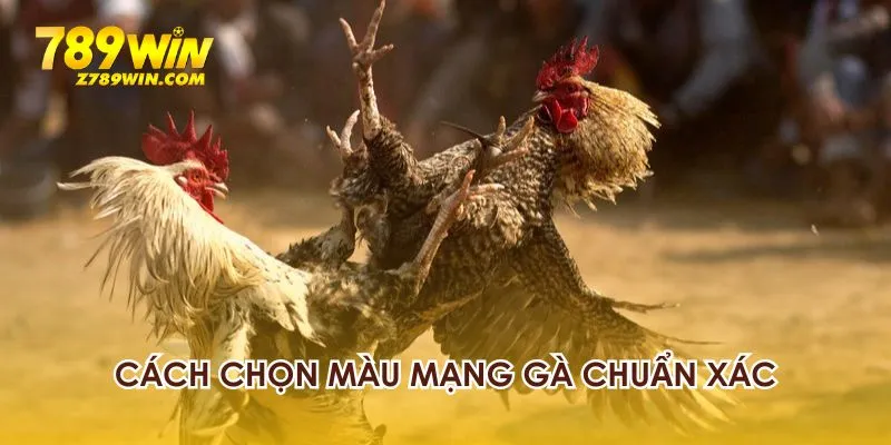 Cách chọn đúng màu mạng gà